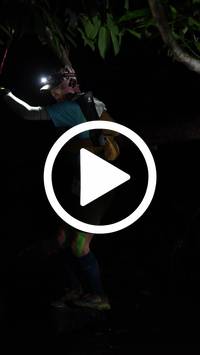 BIB:  <button type="button" onclick="openModal(27565807)" class="btn btn-primary btn-sm float-right" data-toggle="modal" data-target=".modal-high-quality">
                <i class="fa fa-download"></i> Download
                </button>